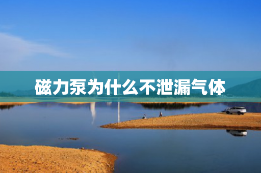 磁力泵為什么不泄漏氣體