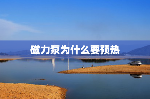 磁力泵為什么要預(yù)熱