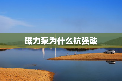 磁力泵為什么抗強(qiáng)酸