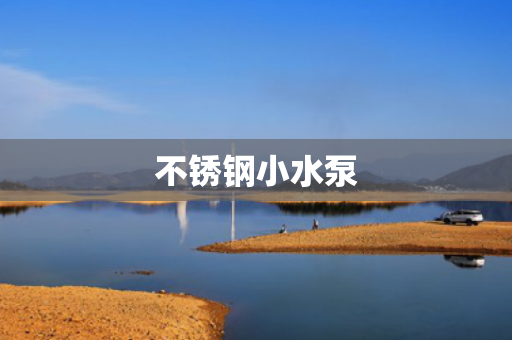不銹鋼小水泵