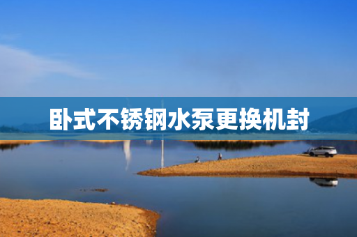臥式不銹鋼水泵更換機(jī)封