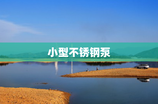 小型不銹鋼泵