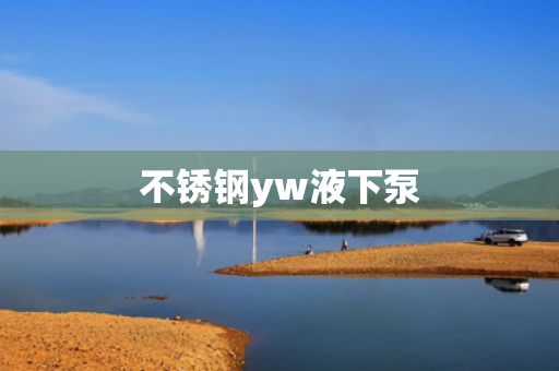 不銹鋼yw液下泵