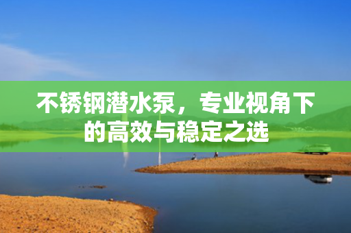 不銹鋼潛水泵<div   id=