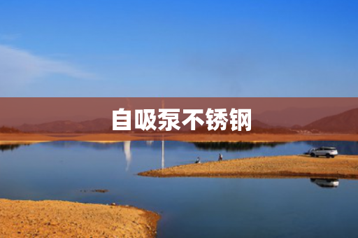 自吸泵不銹鋼