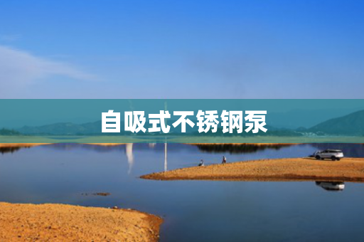 自吸式不銹鋼泵