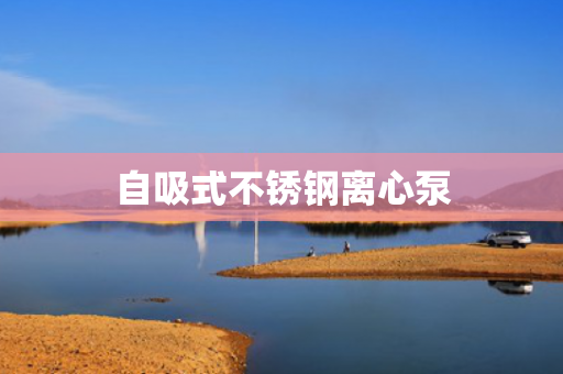 自吸式不銹鋼離心泵