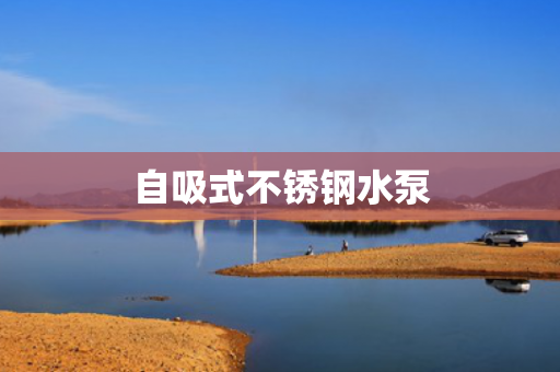 自吸式不銹鋼水泵