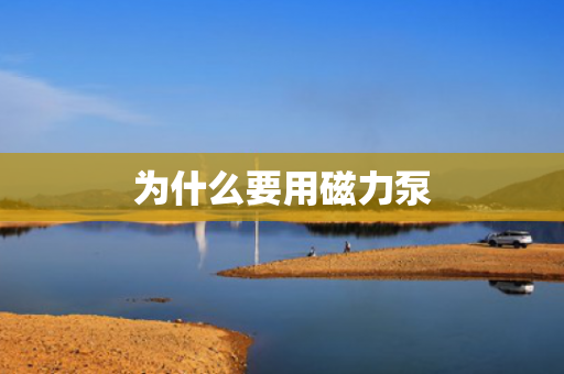 為什么要用磁力泵
