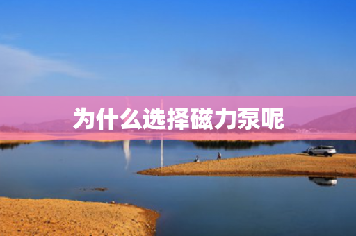 為什么選擇磁力泵呢