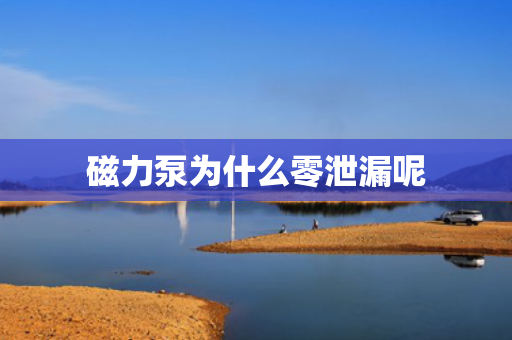 磁力泵為什么零泄漏呢