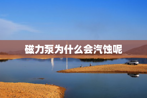 磁力泵為什么會汽蝕呢
