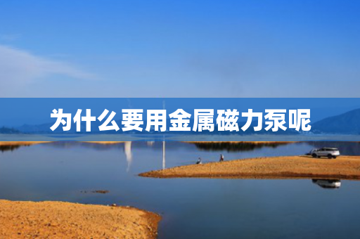 為什么要用金屬磁力泵呢