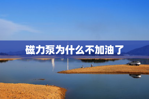 磁力泵為什么不加油了