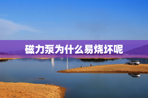 磁力泵為什么易燒壞呢