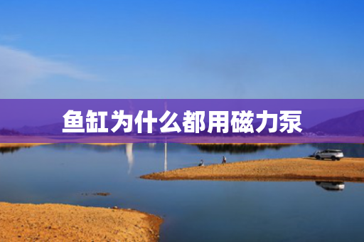 魚缸為什么都用磁力泵