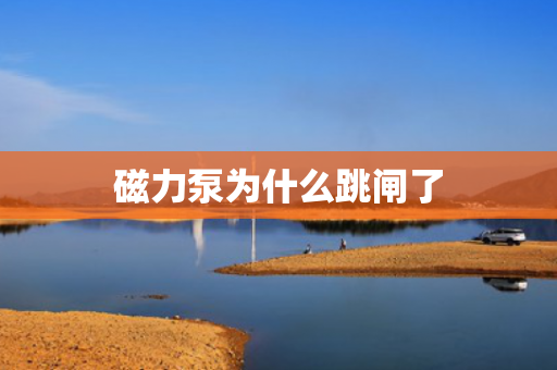 磁力泵為什么跳閘了