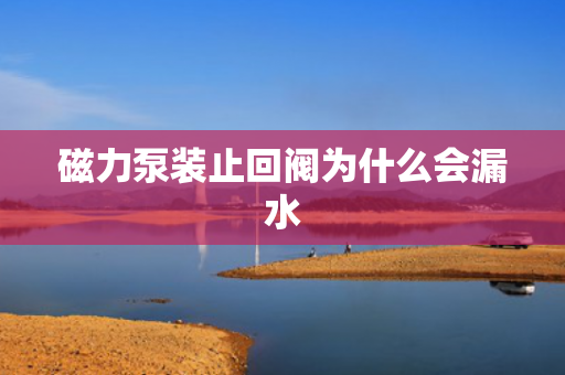 磁力泵裝止回閥為什么會漏水