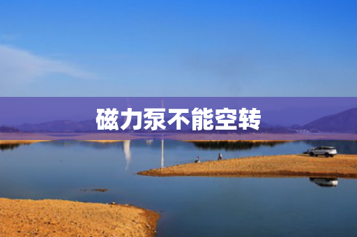 磁力泵不能空轉