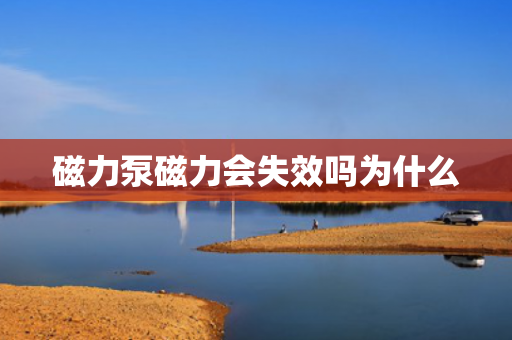 磁力泵磁力會(huì)失效嗎為什么