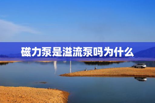 磁力泵是溢流泵嗎為什么