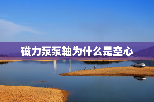 磁力泵泵軸為什么是空心