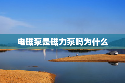 電磁泵是磁力泵嗎為什么