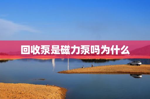 回收泵是磁力泵嗎為什么