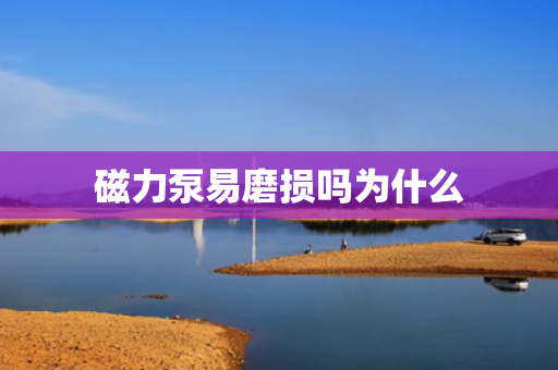 磁力泵易磨損嗎為什么
