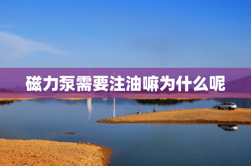 磁力泵需要注油嘛為什么呢