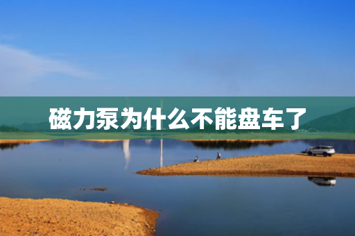 磁力泵為什么不能盤車了