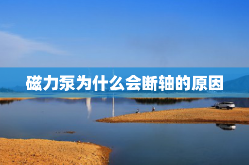 磁力泵為什么會(huì)斷軸的原因