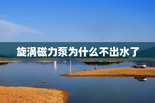 旋渦磁力泵為什么不出水了