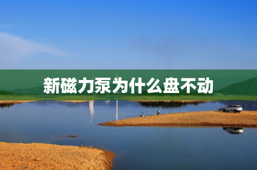 新磁力泵為什么盤不動
