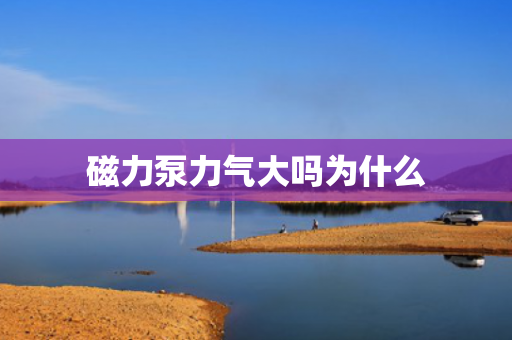 磁力泵力氣大嗎為什么