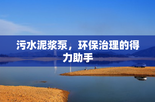 污水泥漿泵<div   id=