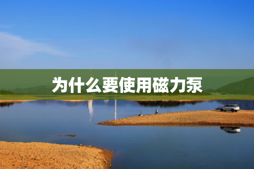 為什么要使用磁力泵
