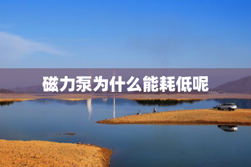 磁力泵為什么能耗低呢