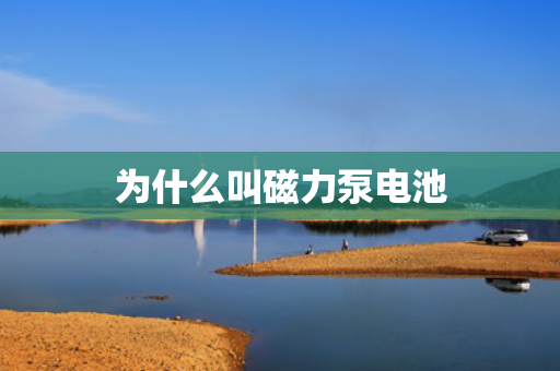 為什么叫磁力泵電池