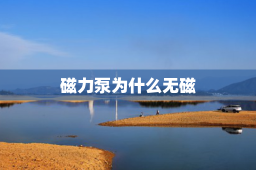 磁力泵為什么無磁