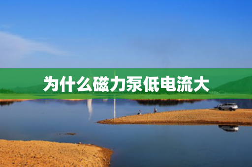 為什么磁力泵低電流大