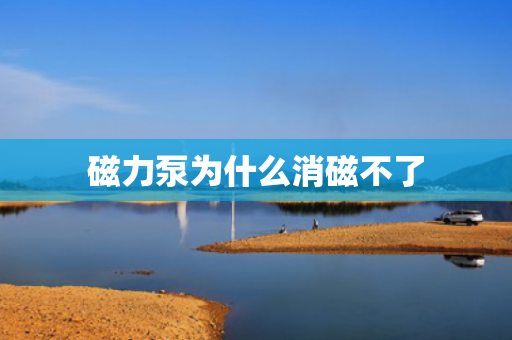 磁力泵為什么消磁不了