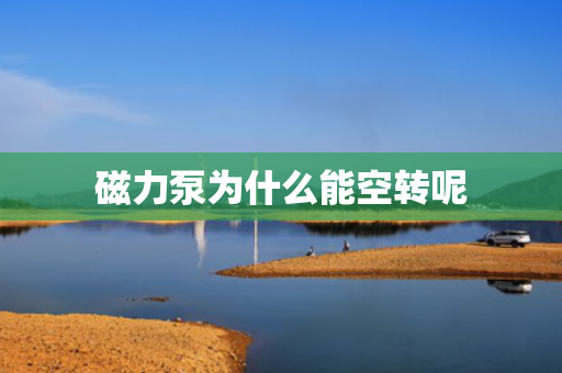 磁力泵為什么能空轉(zhuǎn)呢