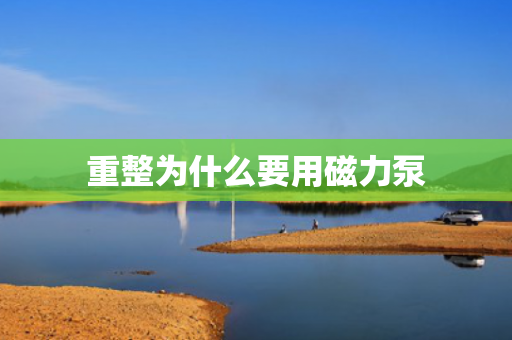 重整為什么要用磁力泵