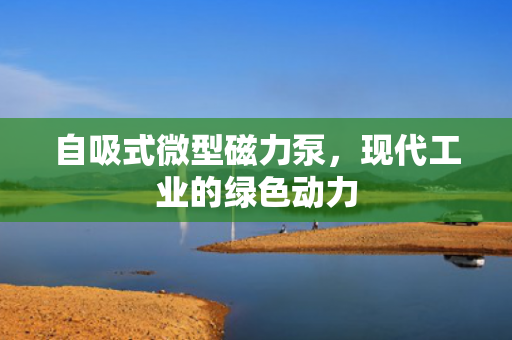 自吸式微型磁力泵<div   id=