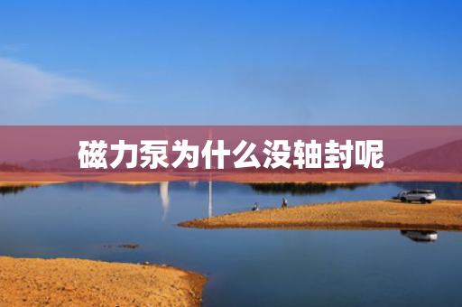 磁力泵為什么沒軸封呢