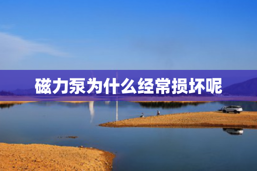 磁力泵為什么經(jīng)常損壞呢