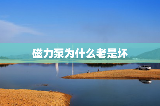 磁力泵為什么老是壞