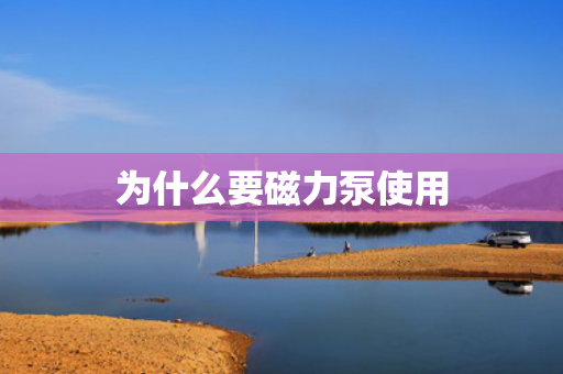 為什么要磁力泵使用