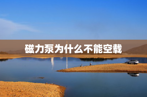 磁力泵為什么不能空載